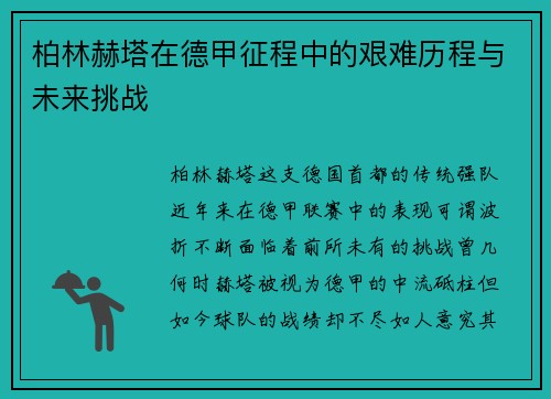 柏林赫塔在德甲征程中的艰难历程与未来挑战