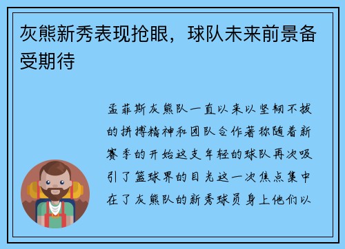 灰熊新秀表现抢眼，球队未来前景备受期待